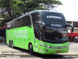 FlixBus Transporte e Tecnologia do Brasil 18229 na cidade de Pirapora, Minas Gerais, Brasil, por Andrew Campos. Número da foto: #12477803.