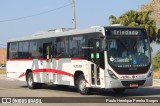 Auto Viação ABC RJ 105.029 na cidade de Niterói, Rio de Janeiro, Brasil, por Paulo Henrique Pereira Borges. Número da foto: #12480954.