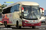 Expresso Maia 1600 na cidade de Goiânia, Goiás, Brasil, por Carlos Júnior. Número da foto: #12481735.