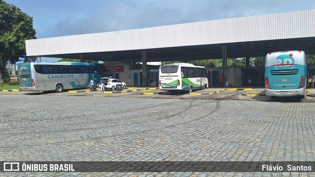 RD Transportes 700 na cidade de Cruz das Almas, Bahia, Brasil, por Flávio  Santos. Número da foto: #12484267.