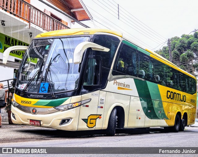 Empresa Gontijo de Transportes 19560 na cidade de Campos do Jordão, São Paulo, Brasil, por Fernando Júnior. Número da foto: #12485739.