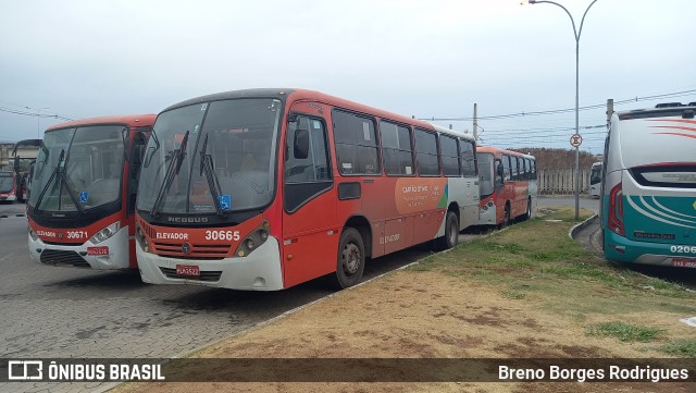 Expresso Luziense > Territorial Com. Part. e Empreendimentos 30665 na cidade de Belo Horizonte, Minas Gerais, Brasil, por Breno Borges Rodrigues. Número da foto: #12485448.