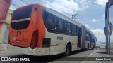 TRANSPPASS - Transporte de Passageiros 8 1915 na cidade de São Paulo, São Paulo, Brasil, por Lucas Kevin. Número da foto: #12485258.