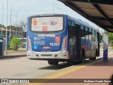 Transportes Capellini 19.087 na cidade de Hortolândia, São Paulo, Brasil, por Matheus Duarte Souza. Número da foto: #:id.