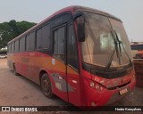 Viação São Silvestre 931 na cidade de Campinorte, Goiás, Brasil, por Heder Gonçalves. Número da foto: #12485888.