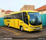 Viação Itaqueri 1300 na cidade de Piracicaba, São Paulo, Brasil, por Gabriel Correa. Número da foto: #12484322.