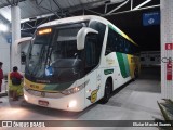 Empresa Gontijo de Transportes 18530 na cidade de Arapiraca, Alagoas, Brasil, por Eliziar Maciel Soares. Número da foto: #12484695.