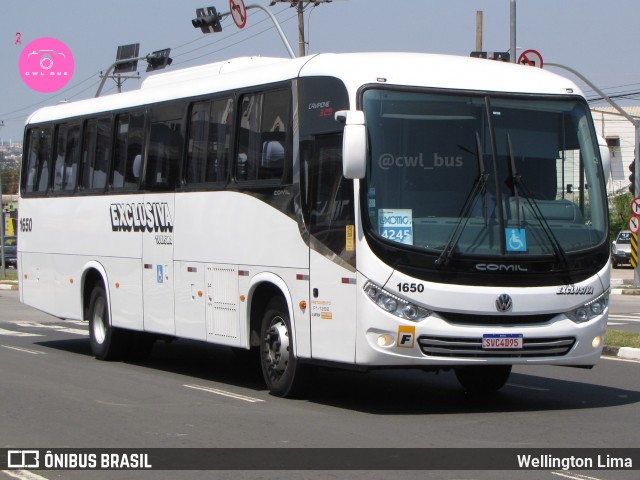 Exclusiva Turismo 1650 na cidade de Campinas, São Paulo, Brasil, por Wellington Lima. Número da foto: #12485997.