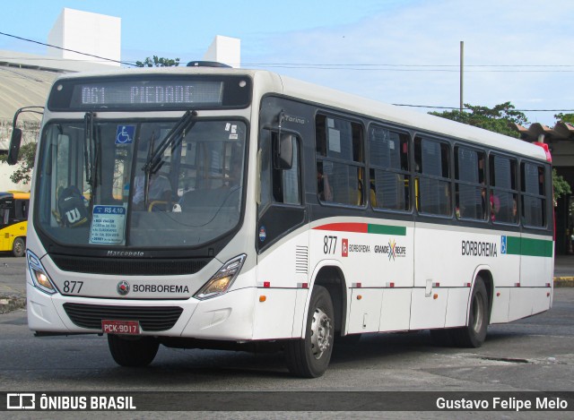 Borborema Imperial Transportes 877 na cidade de Recife, Pernambuco, Brasil, por Gustavo Felipe Melo. Número da foto: #12486185.