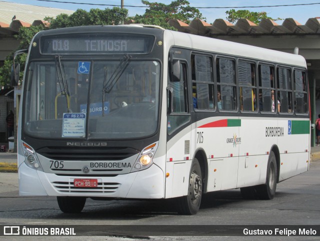 Borborema Imperial Transportes 705 na cidade de Recife, Pernambuco, Brasil, por Gustavo Felipe Melo. Número da foto: #12486183.