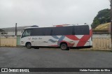 Beija Flor Turismo 4100 na cidade de Atibaia, São Paulo, Brasil, por Helder Fernandes da Silva. Número da foto: #12487056.