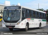 Borborema Imperial Transportes 877 na cidade de Recife, Pernambuco, Brasil, por Gustavo Felipe Melo. Número da foto: #12486185.