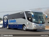 Calado Viagens e Turismo 2400 na cidade de Holambra, São Paulo, Brasil, por André Fermino . Número da foto: #12487545.
