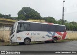 Beija Flor Turismo 4100 na cidade de Atibaia, São Paulo, Brasil, por Helder Fernandes da Silva. Número da foto: #12487042.