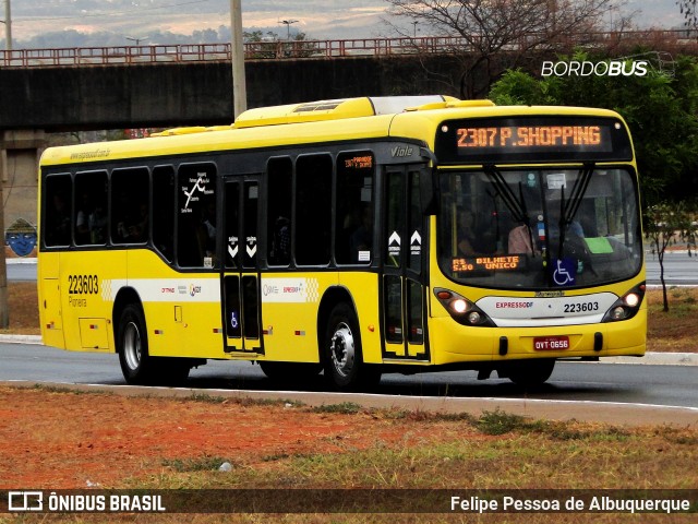 Viação Pioneira 223603 na cidade de Brasília, Distrito Federal, Brasil, por Felipe Pessoa de Albuquerque. Número da foto: #12489337.