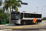 Rápido Campinas 133509 na cidade de Campo Limpo Paulista, São Paulo, Brasil, por Ricardo Luiz. Número da foto: #12489378.