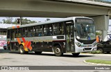 Rápido Campinas 12002 na cidade de Campo Limpo Paulista, São Paulo, Brasil, por Ricardo Luiz. Número da foto: #12489345.
