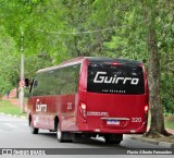 Guirro Tur 320 na cidade de São Roque, São Paulo, Brasil, por Flavio Alberto Fernandes. Número da foto: #12489186.