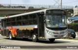 Rápido Campinas 133481 na cidade de Campo Limpo Paulista, São Paulo, Brasil, por Ricardo Luiz. Número da foto: #12489317.
