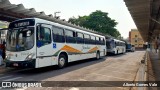 Jandaia Transportes e Turismo 2350 na cidade de Presidente Prudente, São Paulo, Brasil, por Alberto Gomes Vale. Número da foto: #12489822.