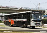 Rápido Campinas 133509 na cidade de Campo Limpo Paulista, São Paulo, Brasil, por Ricardo Luiz. Número da foto: #12489325.