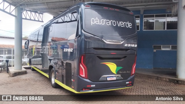 Pássaro Verde 23182 na cidade de Santa Bárbara, Minas Gerais, Brasil, por Antonio Silva. Número da foto: #12490725.
