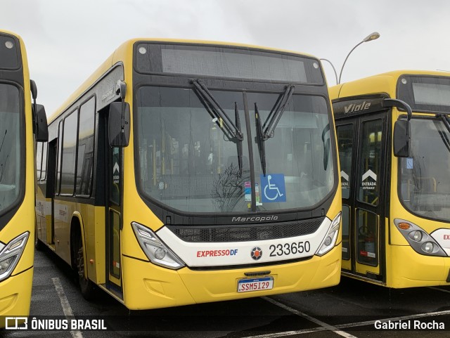 Viação Pioneira 233650 na cidade de Brasília, Distrito Federal, Brasil, por Gabriel Rocha. Número da foto: #12491019.