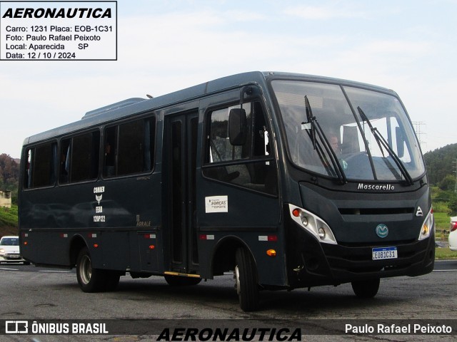 Aeronáutica Brasileira 1231 na cidade de Aparecida, São Paulo, Brasil, por Paulo Rafael Peixoto. Número da foto: #12491891.