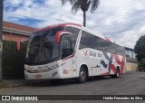 Beija Flor Turismo 4000 na cidade de Atibaia, São Paulo, Brasil, por Helder Fernandes da Silva. Número da foto: #12491033.