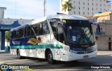 Piccolotur Transportes Turísticos 4600 na cidade de Aparecida, São Paulo, Brasil, por George Miranda. Número da foto: #:id.