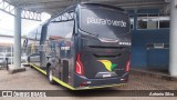 Pássaro Verde 23182 na cidade de Santa Bárbara, Minas Gerais, Brasil, por Antonio Silva. Número da foto: #12490725.