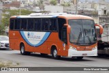 Rodoviária Caruaruense 728 na cidade de Caruaru, Pernambuco, Brasil, por Eliziar Maciel Soares. Número da foto: #:id.