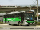Rápido Campinas 17981 na cidade de Campo Limpo Paulista, São Paulo, Brasil, por Ricardo Luiz. Número da foto: #12491223.