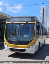 Empresa Metropolitana 733 na cidade de Recife, Pernambuco, Brasil, por Daniel  Julio. Número da foto: #12490373.