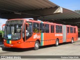Borborema Imperial Transportes 307 na cidade de Recife, Pernambuco, Brasil, por Gustavo Felipe Melo. Número da foto: #12490061.