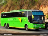 Pássaro Verde 28035 na cidade de Sabará, Minas Gerais, Brasil, por César Ônibus. Número da foto: #12491893.