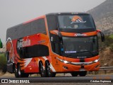 Turismo Ayekantün HPTZ50 na cidade de Los Andes, Los Andes, Valparaíso, Chile, por Cristian Espinoza. Número da foto: #12491443.