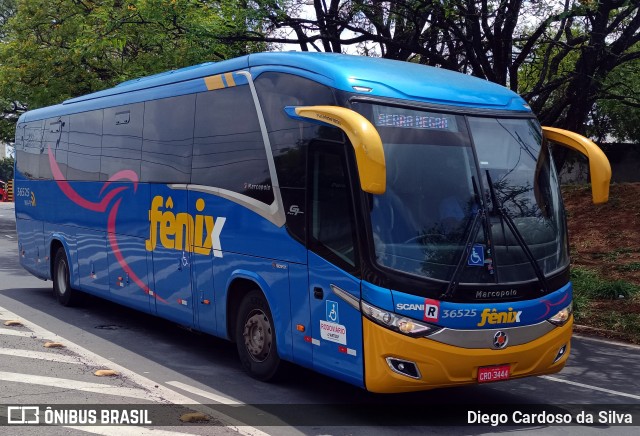 Rápido Expresso Fênix Viação 36525 na cidade de Campinas, São Paulo, Brasil, por Diego Cardoso da Silva. Número da foto: #12492852.