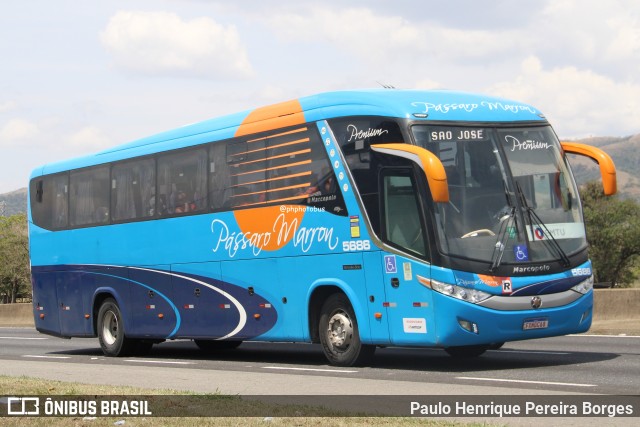 Empresa de Ônibus Pássaro Marron 5686 na cidade de Roseira, São Paulo, Brasil, por Paulo Henrique Pereira Borges. Número da foto: #12493924.
