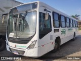Viação Bassamar 221 na cidade de Leopoldina, Minas Gerais, Brasil, por Danilo  Ribeiro. Número da foto: #12492459.