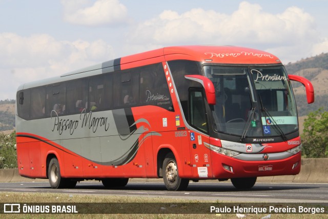 Empresa de Ônibus Pássaro Marron 5923 na cidade de Roseira, São Paulo, Brasil, por Paulo Henrique Pereira Borges. Número da foto: #12497435.