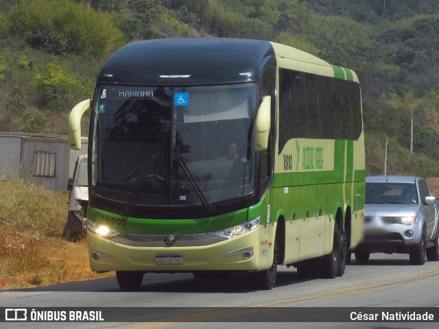 Pássaro Verde 16900 na cidade de Mariana, Minas Gerais, Brasil, por César Natividade. Número da foto: #12495619.