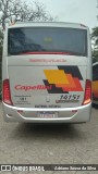 Transportes Capellini 14151 na cidade de Atibaia, São Paulo, Brasil, por Adriano Sousa da Silva. Número da foto: #12495286.