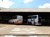 Empresa de Ônibus Nossa Senhora da Penha 6531 na cidade de Maringá, Paraná, Brasil, por João Vitor Bezerra Destefani. Número da foto: #12496163.