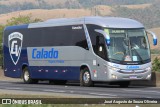Calado Viagens e Turismo 2400 na cidade de Roseira, São Paulo, Brasil, por José Augusto de Souza Oliveira. Número da foto: #12497600.