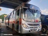 Transporte Rural 008 na cidade de Coroados, São Paulo, Brasil, por Paulo Cesar. Número da foto: #12495713.