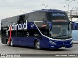 Andimar 432 na cidade de Santiago, Santiago, Metropolitana de Santiago, Chile, por Juan Guillermo Pacheco S.. Número da foto: #12497875.