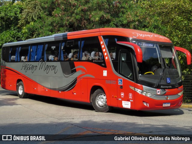 Empresa de Ônibus Pássaro Marron 5820 na cidade de São Paulo, São Paulo, Brasil, por Gabriel Oliveira Caldas da Nobrega. Número da foto: #12454189.