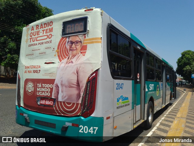 Transporte Urbano São Miguel 2047 na cidade de Uberlândia, Minas Gerais, Brasil, por Jonas Miranda. Número da foto: #12453827.