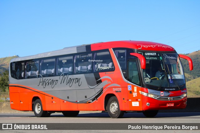 Empresa de Ônibus Pássaro Marron 5403 na cidade de Roseira, São Paulo, Brasil, por Paulo Henrique Pereira Borges. Número da foto: #12455606.